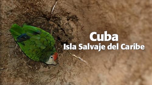 Cuba - Isla Salvaje del Caribe