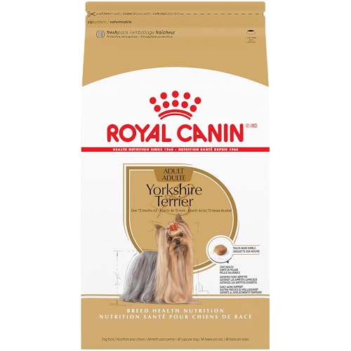 best dog food for Yorkie