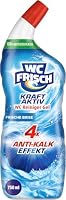 WC-Frisch – WC Frisch Toilettenreiniger Gel Ozeanfrische (750 ml), Klore