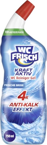 WC Frisch Toilettenreiniger Gel Ozeanfrische (750 ml), Kloreiniger