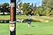 Ninety Degree Wedge - Magnetic Cigar Holder Special Combo-Set Pack