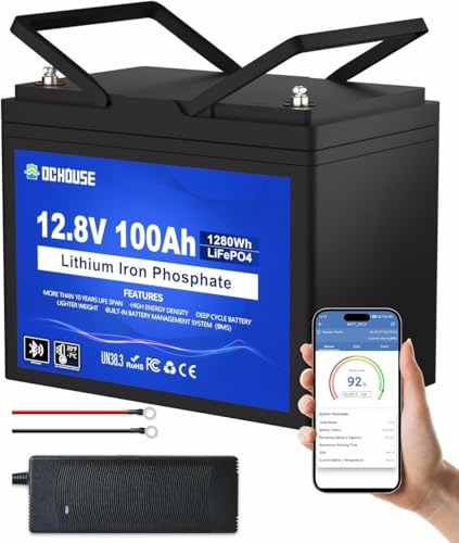 DCHOUSE 12V 100Ah LiFePO4 Batterie mit 10A Batterie Ladegeräte, Verbessertes 100A BMS, Bis zu 15000 Zyklen, 1280Wh Lithium Akku, perfekt für Wohnmobile, Solaranlage, Wohnwagen, Boot, Camping,Off-Grid