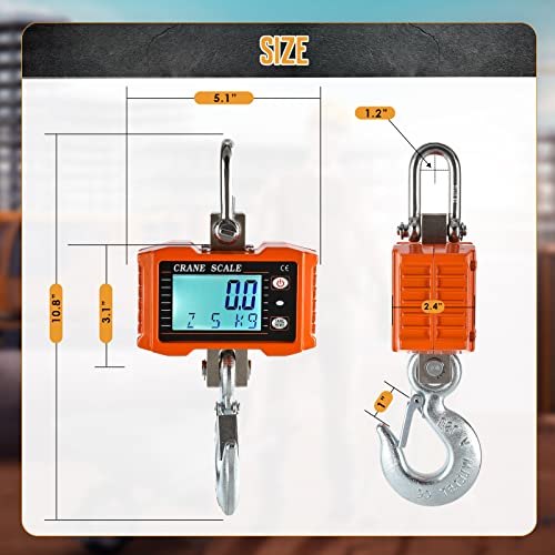 Bonvoisin Bilancia a Sospensione Digitale per Gru