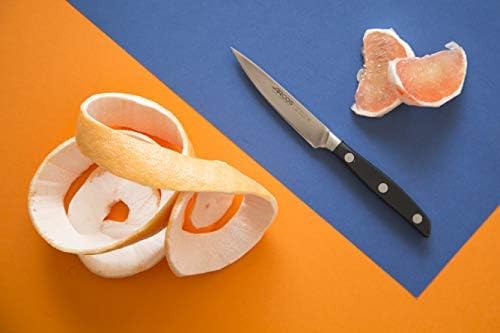 Set Cuchillos Cocina 3 Piezas Acero Inoxidable Mango Polioximetileno miniatura 2