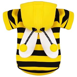 Adorable Bumblebee Halloween Costume Hoodie for Medium Dogs: Featuring Fun Wings and a Cozy Black and Yellow Sweatshirt Design, Perfect for Cosplay (Yellow Bumble Bee, Medium)