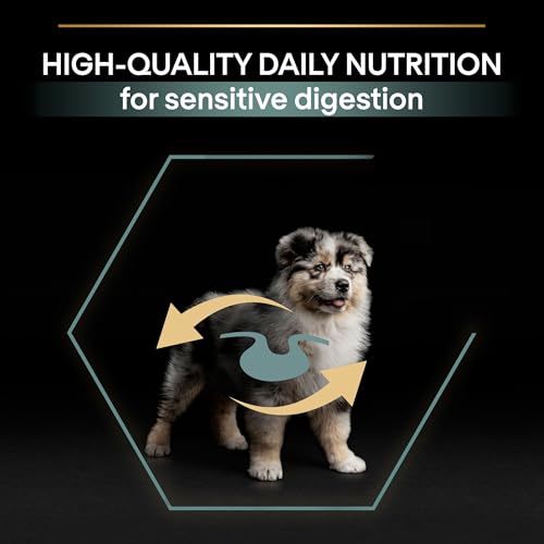 Pro Plan PURINA PRO PLAN Medium Puppy Sensitive Digestion, Welpenfutter trocken, reich an Lamm, 1er Pack (1 x 12 kg)