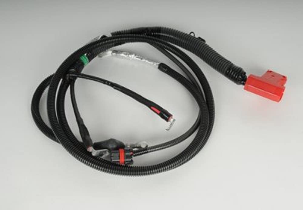 Amazon.com: ACDelco GM Original Equipment 19116853 Positive 