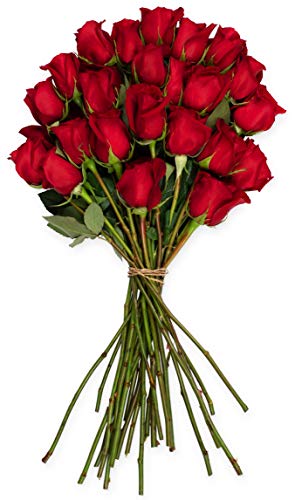 Benchmark Bouquets 2 Dozen Red Roses, No Vase (Fresh Cut Flowers), 24 Count (Pack of 1) Benchmark Bouquets 2 Dozen Red Roses, No Vase (Fresh Cut Flowers), 24 Count (Pack of 1)