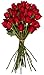 Benchmark Bouquets 2 Dozen Red Roses, No Vase