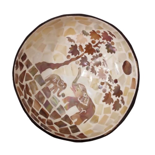 Ciieeo Ciotola Decorativa in Cocco Portaoggetti per Chiavi e Noci 100% Facile da Riporre Cucina e Decorazioni Domestiche