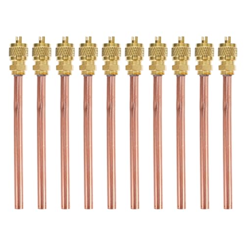 Angoily Válvula Monodireccional de Latón para Aire Acondicionado, 10 Piezas Núcleo y Vástago Desmontable, Válvula de Servicio para Sistema de Refrigeración y Carga de Refrigerante