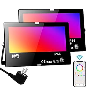 Projecteur Exterieur Led, 80W Intelligente Bluetooth RGB Projecteur Led, équivalent 800W, 8000 Lumens Spot Led Couleur, 16 Million Couleurs, Minuteur, RGBW Blanc Chaud 2700K, IP66 Etanche(2 Unité)