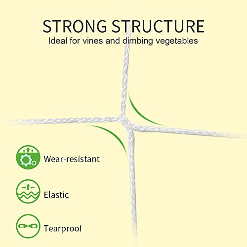 Hydgooho Trellis Netting For Climbing Plants Heavy-Duty Polyester Garden Netting Plant Support Vine Climbing Hydroponics (5 * 30Ft) #TOP3