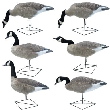 Big Foot B2 Extreme Motion Full Body Canada Goose Decoys, 6 Pack