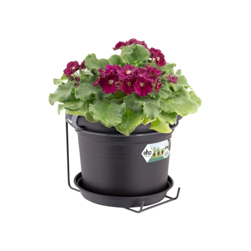 Elho Green Basics Balconnière Poth Allin1 - Pot De Fleurs - Extérieur & Balcon - Noir (living black), Ø20 cm