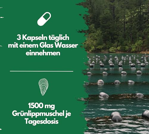 Grünlippmuschel-Kapseln von EXVital mit 300 Kapseln
