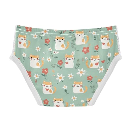 Wusikd Cartoon Cat Boys' Underwear Cotton Flower Heart Boys Briefs Soft Toddler Underwear 2T2