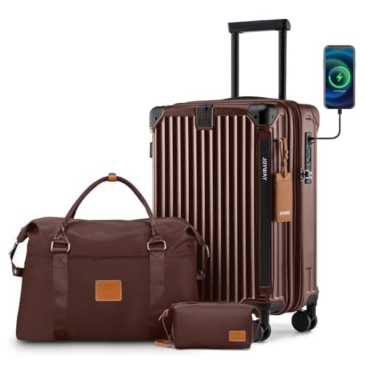 Joyway 20in Smart Luggage Set with USB