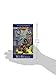 Dragons of Winter Night (Dragonlance Chronicles, Volume II)