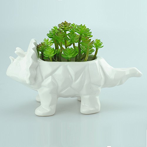 Vanenjoy 6 Inch Cute Cartoon Dinosaur Shape Ceramic Succulent Planter, Water Culture Hydroponics Bonsai Cactus Flower Pot,Air Plant Vase Holder Desktop Decorative Organizer (Triceratops, White) #TOP1