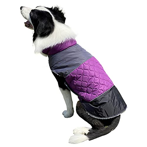 Abrigo impermeable para mascotas ideal para paseos lluviosos con perros medianos 4