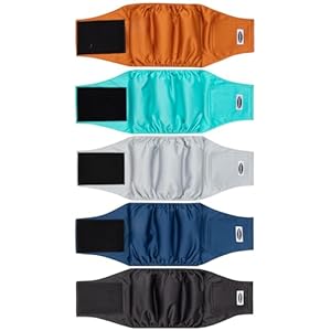 Male Dog Diapers, High Absorbing Do...