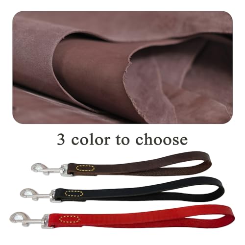 Leather Dog Leash Close-up