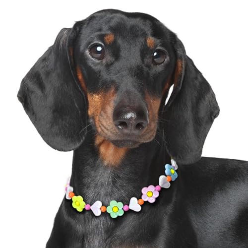 JOGIA Floral Beaded Dog Collar
