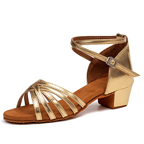 HIPPOSEUS Girls Latin Dance Shoes Low Heel Satin Ballroom Salsa Dance Practice Performance Dancing Shoes,Model 202GB