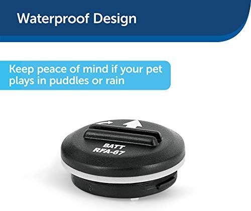 PetSafe 6 Volt Lithium Replacement Cell for PetSafe Collars, Pack of 2