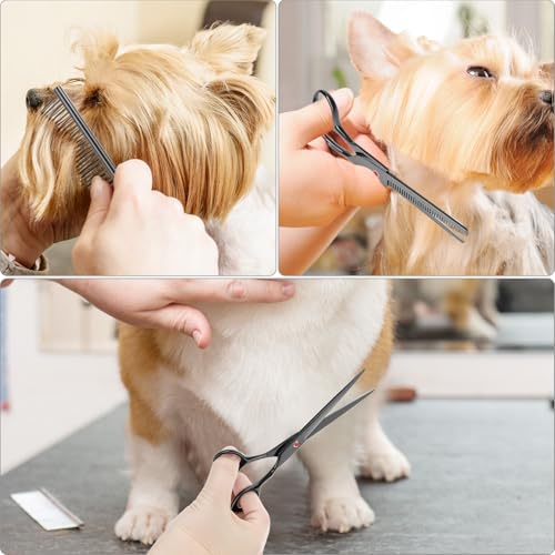 QWORK® 5 in 1 Profi Hundeschere Set, 7 Zoll Edelstahl Effilierschere, Gerade und Gebogen Schere, Pflegekamm, für Hunde und Katzen