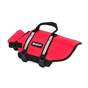 ZippyPaws Adventure Dog Life Jacket - Dog Life Vest for Swimming & Boating, Fits Small Pets, Lightweight Dog Flotation Device for Water Safety, Padded Handle, Adjustable Fit, 16-20" - Small, Red ZippyPaws Adventure Dog Life Jacket Dog Life Vest for Swimming Boating Fits Small Pets Lightweight Dog Flotation Device for Water Safety Padded Handle Adjustable Fit 16 20 Small Red