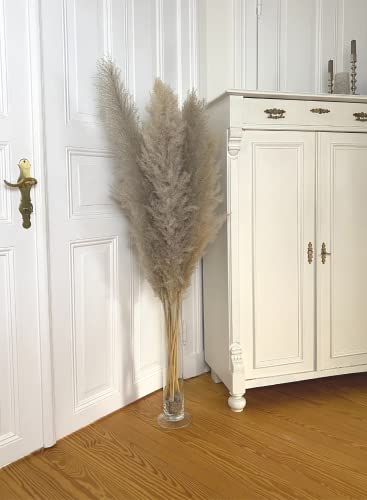 Pampasgras (grau) groß 120cm 3 Stück Deko groß Trockenblumen groß I Boho Deko I getrocknete Blumen I Tischdeko I Dekozweige für Trockenblumenstrauß I echte Dekoblumen I Pampas I Deko Blumen Cover