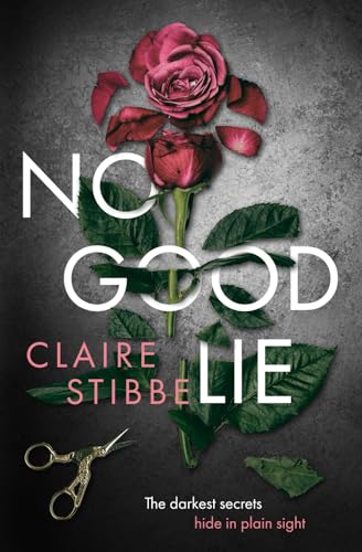 No Good Lie view 2