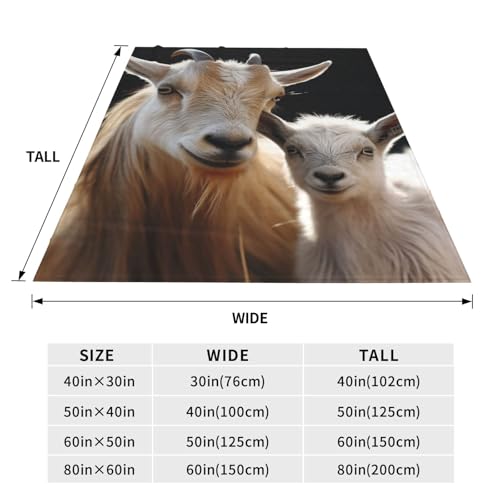 Couverture flanelle microfibre légère plaid canapé chaud jeté de lit