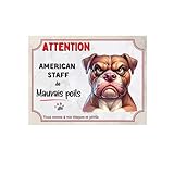 Le produit est susceptible de légères variations de couleurs - La taille du produit peut varier de quelques millimètre (Produit artisanal /fait main).