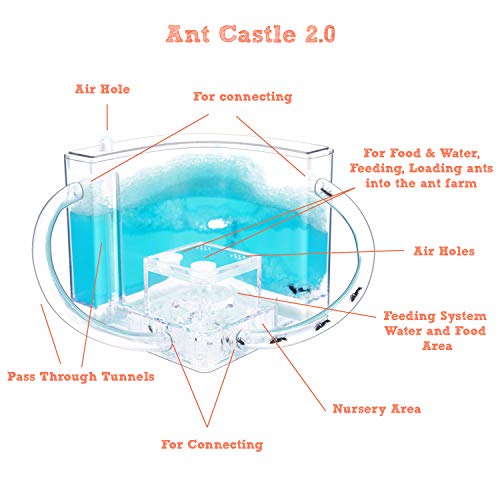 Navadeal PTAN02TU Ant Farm Castle 2.0 With Connecting Tube, Ant Habitat Science Learning Kit thumb #7