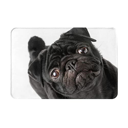 ���փ}�b�g�p�O�������F(1)�A�j�������}�b�g�z�������R�ۖh�L�o�X�}�b�g�z������~�ߖh�J�r�������L���o�X���[���L�b�`���l�G���p�J�[�y�b�g40×60cmGH43