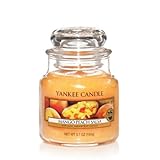  Yankee Candle Duftkerze Housewarmer Mango Peach Salsa (104g)