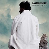 Imagination & The Misfit Kid [VINYL]