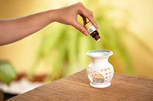 Kit 3 Óleos Essenciais FUNCIONAIS. Limão Siciliano, Eucalipto e Laranja Doce - Aroma D’alma | Limão