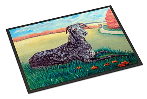 Caroline's Treasures 7521JMAT Scottish Deerhound Doormat 24x36 Front Door Mat Indoor Outdoor Rugs for Entryway, Non Slip Washable Low Pile, 24H X 36W