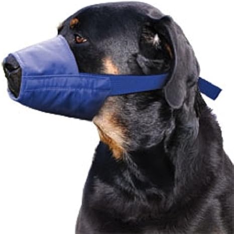 dog muzzle to stop barking