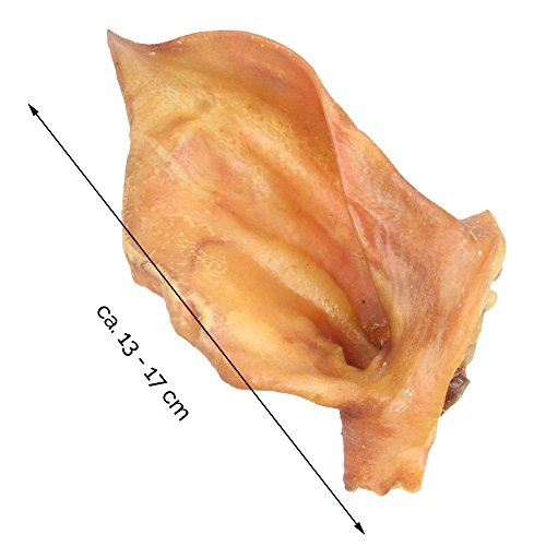Schecker Hundesnack - Schweineohren mit Muschel - Premium - 1 kg - von Deutschen Schweinen – Ansicht 3