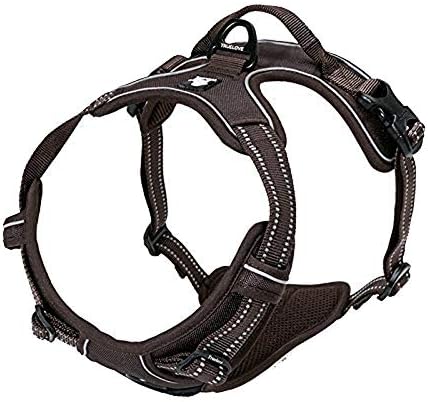 TrueLove Dog Harness TLH5651 No-pull Reflective Stitching Ensure Night Visibility, Outdoor Adventure Big Dog Harness Perfect Match Puppy Vest (Blue,S)