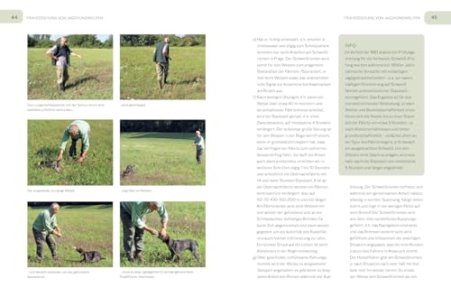 Der Jagdgebrauchshund: Erfolgreiche Jagdhunde Ausbildung. Erziehen – Abrichten – Führen (BLV Jagdhunde)