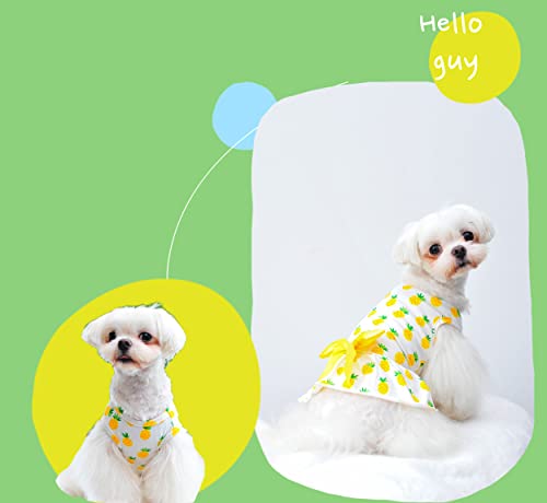 Msnfoasm 3-Pack Cherry Lemon Pineapple Print Dog Dress,Doggie Tank Top Vest Dresses,Holiday Cat Outfits,Soft Clothes For Small Dogs Girl(Medium) #TOP4