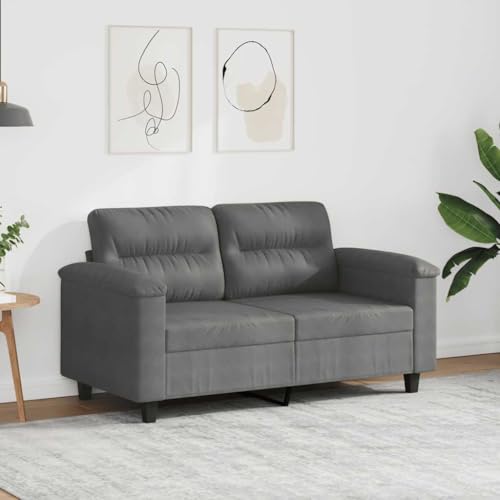 Sofá de 2 plazas cómodo en microfibra gris oscuro con soporte metálico resistente de 150 cm 3