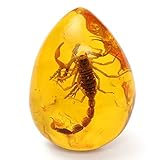 - Ein schöner Schmuck Interesse zu Ihrem Leben hinzuzufügen.