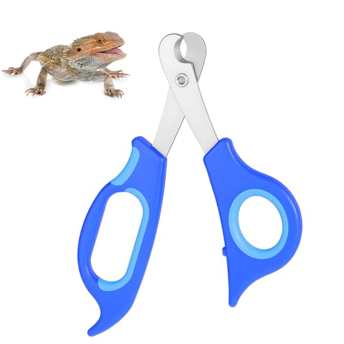 Quilax Stainless Steel Bearded Dragon Nail Clippers, Bird Nail Clippers, Bearded Dragon Accessories for Small Reptiles, Turtle, Chameleon, Iguana, Hedgehog(Blue